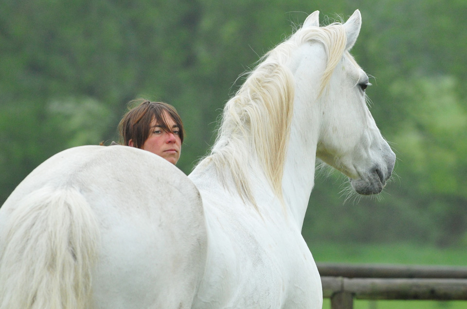 Horsemanship Coaching Tage – miteinander und voneinander lernen